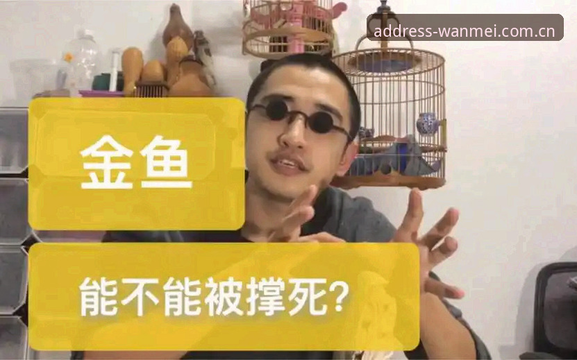 一次卡死，我花了三小时才弄明白"完美体育地址首页下载不了怎么办"